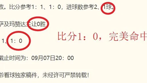 推荐 足球攻略周四003瑞超赛事前瞻：米亚尔比对决佐加顿斯对决亮点